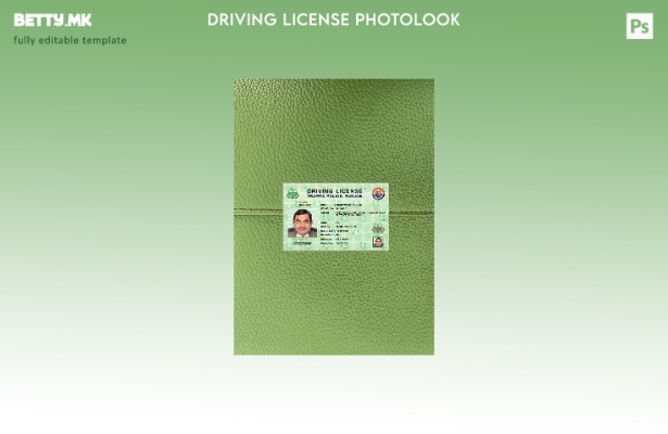 модерен стил Индија Пенџаб возачка дозвола претставува преден шаблон со фото изг